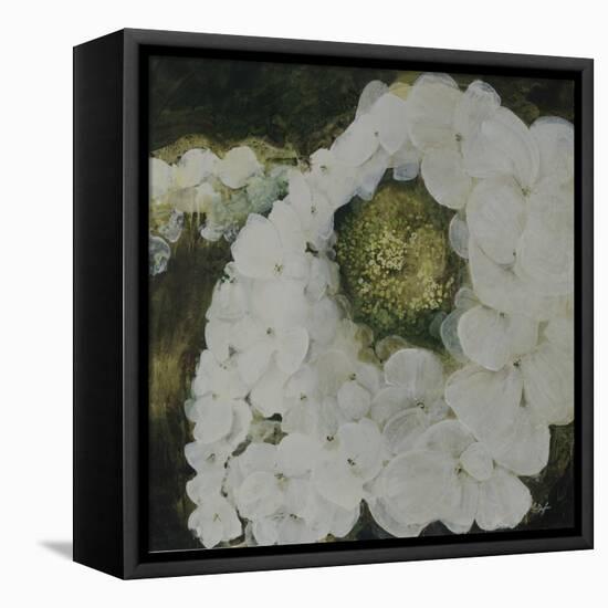 White Hydrengea-Farrell Douglass-Framed Premier Image Canvas