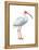 White Ibis (Eudocimus Albus), Birds-Encyclopaedia Britannica-Framed Stretched Canvas