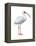 White Ibis (Eudocimus Albus), Birds-Encyclopaedia Britannica-Framed Stretched Canvas