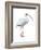 White Ibis (Eudocimus Albus), Birds-Encyclopaedia Britannica-Framed Art Print