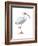 White Ibis (Eudocimus Albus), Birds-Encyclopaedia Britannica-Framed Art Print