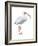 White Ibis (Eudocimus Albus), Birds-Encyclopaedia Britannica-Framed Art Print