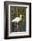 White Ibis in the Soft Stemmed Bulrush, Viera Wetlands, Florida-Maresa Pryor-Framed Photographic Print