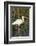 White Ibis in the Soft Stemmed Bulrush, Viera Wetlands, Florida-Maresa Pryor-Framed Photographic Print
