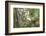 White Ibis-PETERLAKOMY-Framed Photographic Print