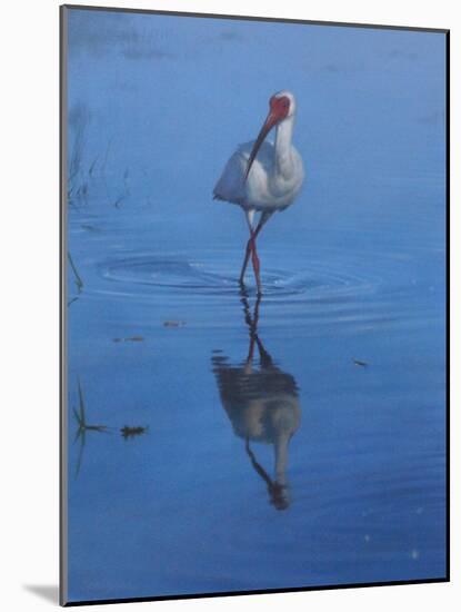 White Ibis-Michael Jackson-Mounted Giclee Print