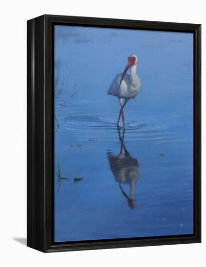 White Ibis-Michael Jackson-Framed Premier Image Canvas