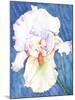 White Iris-Mary Russel-Mounted Giclee Print