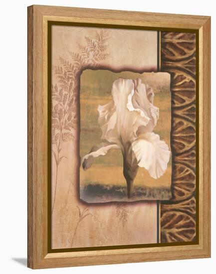 White Iris-TC Chiu-Framed Stretched Canvas