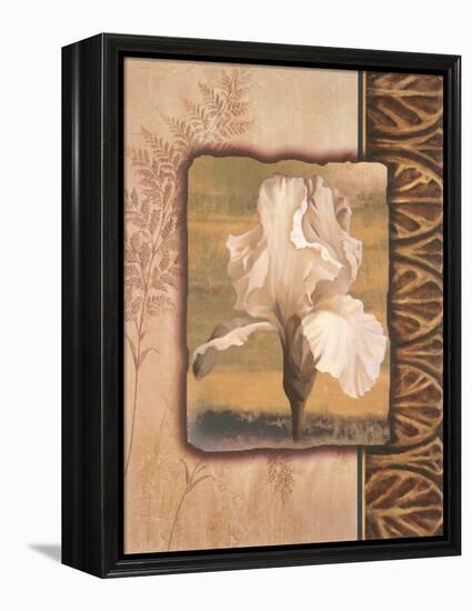 White Iris-TC Chiu-Framed Stretched Canvas