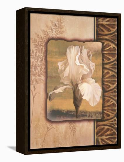 White Iris-TC Chiu-Framed Stretched Canvas