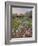 White Irises and Farmstead-Timothy Easton-Framed Giclee Print