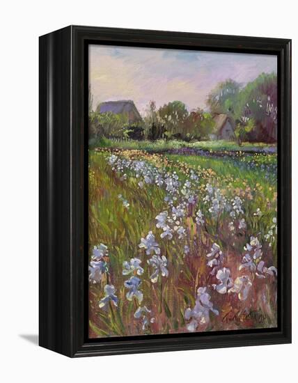 White Irises and Farmstead-Timothy Easton-Framed Premier Image Canvas