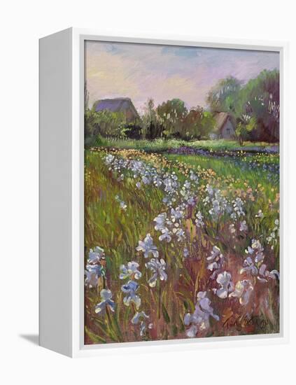 White Irises and Farmstead-Timothy Easton-Framed Premier Image Canvas