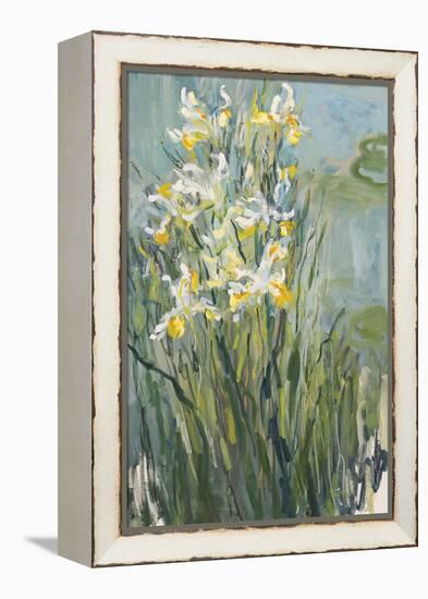 White Irises-Lilia Orlova Holmes-Framed Stretched Canvas