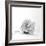 White is back-Philippe Sainte-Laudy-Framed Photographic Print