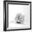 White is back-Philippe Sainte-Laudy-Framed Photographic Print