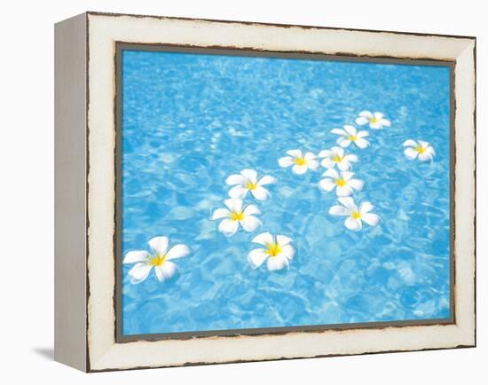 White Jasmines Floating on Water-null-Framed Premier Image Canvas