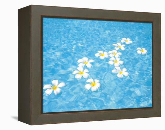 White Jasmines Floating on Water-null-Framed Premier Image Canvas