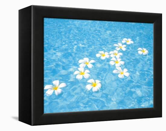 White Jasmines Floating on Water-null-Framed Premier Image Canvas