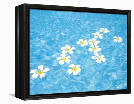 White Jasmines Floating on Water-null-Framed Premier Image Canvas