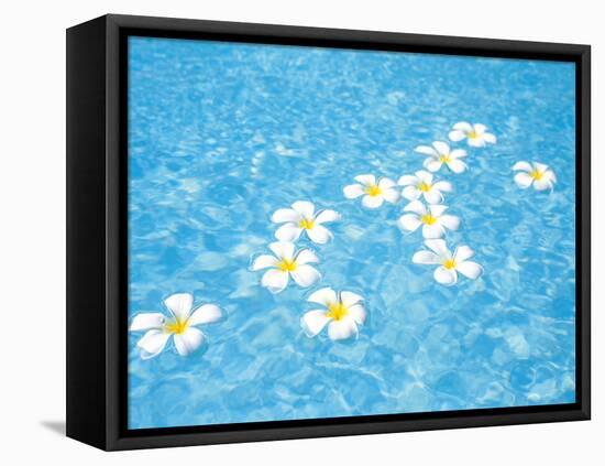 White Jasmines Floating on Water-null-Framed Premier Image Canvas
