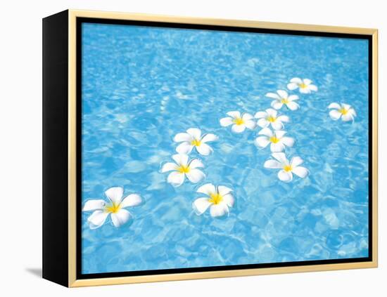 White Jasmines Floating on Water-null-Framed Premier Image Canvas