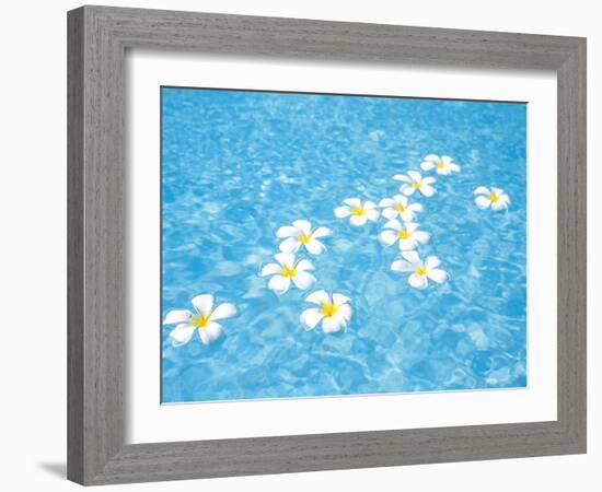 White Jasmines Floating on Water-null-Framed Photographic Print