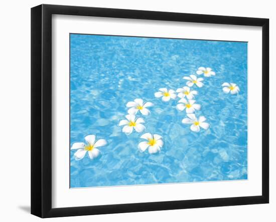 White Jasmines Floating on Water-null-Framed Photographic Print