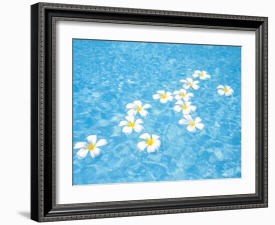 White Jasmines Floating on Water-null-Framed Photographic Print