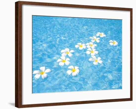 White Jasmines Floating on Water-null-Framed Photographic Print