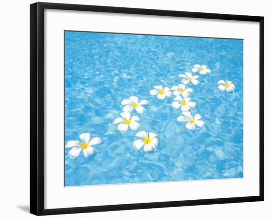 White Jasmines Floating on Water-null-Framed Photographic Print