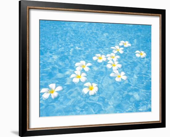 White Jasmines Floating on Water-null-Framed Photographic Print