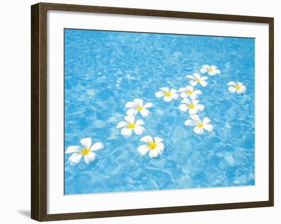 White Jasmines Floating on Water-null-Framed Photographic Print