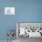 White Kitten and Baby Rabbit-Mark Taylor-Photographic Print displayed on a wall
