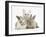 White Kitten and Baby Rabbits-Mark Taylor-Framed Photographic Print