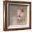 White Kitten-Diane Hoeptner-Framed Art Print