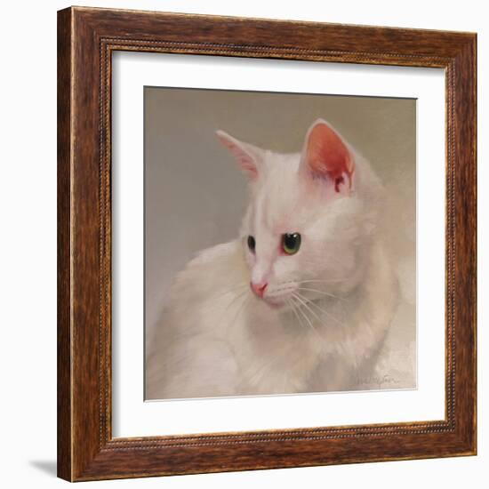 White Kitten-Diane Hoeptner-Framed Art Print