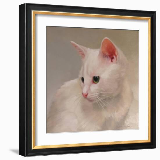 White Kitten-Diane Hoeptner-Framed Art Print