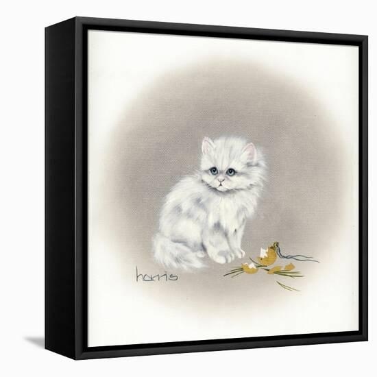 White Kitty (Ornament)-Peggy Harris-Framed Premier Image Canvas