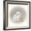 White Kitty (Ornament)-Peggy Harris-Framed Giclee Print