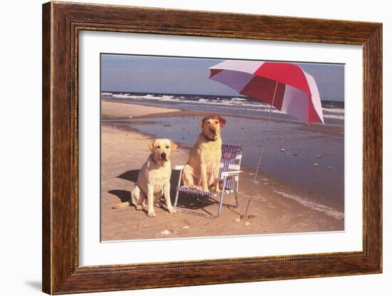 White Labradors at the Beach-null-Framed Art Print