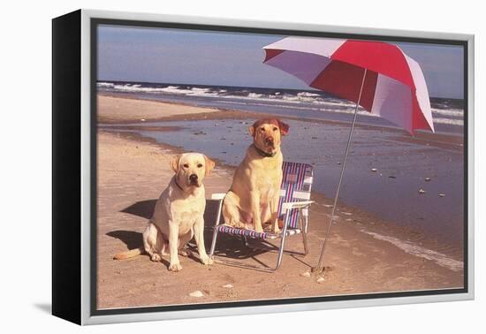 White Labradors at the Beach-null-Framed Stretched Canvas