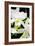 White Lady II-Alan Hausenflock-Framed Photographic Print