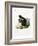 White-Legged Squirrel-null-Framed Giclee Print