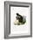 White-Legged Squirrel-null-Framed Giclee Print