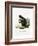 White-Legged Squirrel-null-Framed Giclee Print