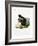 White-Legged Squirrel-null-Framed Giclee Print