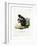 White-Legged Squirrel-null-Framed Giclee Print