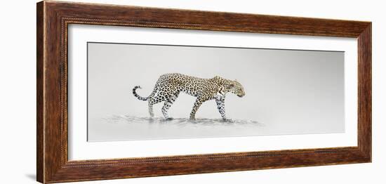 White Leopard-Bobbie Goodrich-Framed Giclee Print